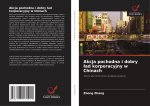 Akcja pochodna i dobry ?ad korporacyjny w Chinach