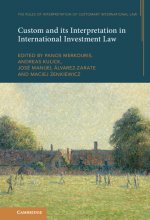Theory, Practice and Interpretation of Customary International Law