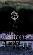 Bluebird, Bluebird