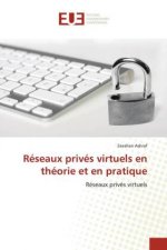 Reseaux prives virtuels en theorie et en pratique