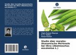 Studie über morpho-ökonomische Merkmale bei Okra (Abelmoschus esculentus L.)