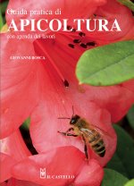 Guida pratica all'apicoltura