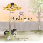 Bushfire