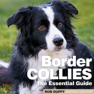 Border Collies