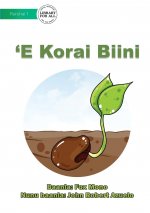 Bean Seed - 'E Korai Biini