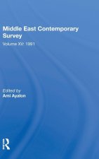 Middle East Contemporary Survey, Volume XV: 1991