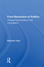 From Revolution To Politics