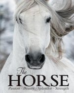 The Horse