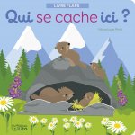 Les animaux de la montagne