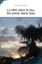 LA TETE DANS LE FEU, LES PIEDS DANS L'EAU