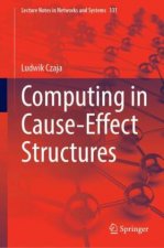 Computing in Cause-Effect Structures