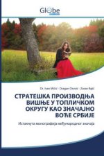 СТРАТЕШКА ПРОИЗВОДЊА ВИ&