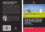Impactos geo-ambientais da produç?o de petróleo e gás nos Pré-Urrais de Orenburg