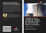 Il mondo in via di sviluppo ha bisogno dell'energia nucleare per porre fine alla povert? energetica,