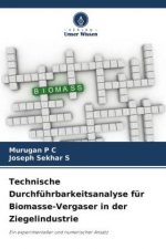 Technische Durchführbarkeitsanalyse für Biomasse-Vergaser in der Ziegelindustrie
