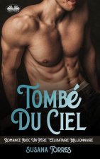 Tombe Du Ciel