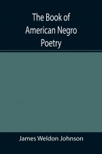 Book of American Negro Poetry