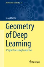 Geometry of Deep Learning