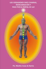Verdaderos Doce Chakras, Reencarnacion y Paso por el Portal de Luz
