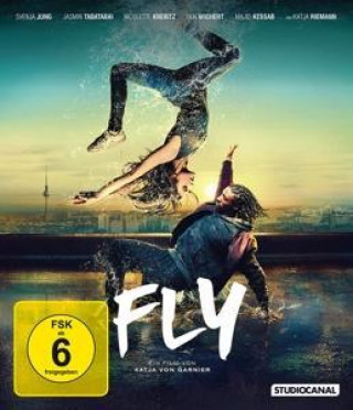 Fly