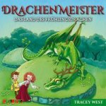 Drachenmeister 14: Das Land des Frühlingsdrachen