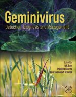 Geminivirus: Detection, Diagnosis and Management