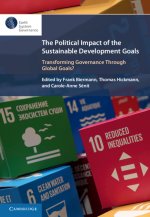 Political Impact of the Sustainable Development Goals