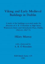 Viking and early medieval buildings in Dublin