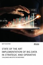 State of the Art Implementation of Big Data in Strategic and Operative Marketing. Challenges and Effective Responses