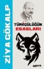 Türkcülügün Esaslari