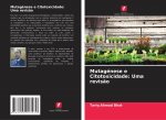 Mutagénese e Citotoxicidade: Uma revis?o