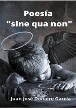 Poesia sine qua non
