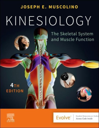 Kinesiology (Joseph E. Muscolino)(Miękka)