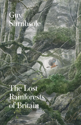 Lost Rainforests of Britain