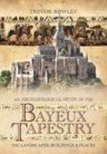 Archaeological Study of the Bayeux Tapestry