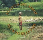 El Ciclo del Arroz, El Ciclo de la Vida: Un Cuento Sobre La Agricultura Sostenible (Cycle of Rice, Cycle of Life: A Story of Sustainable Farming)
