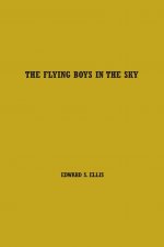 The Flying Boys in the Sky