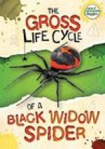 Gross Life Cycle of a Black Widow Spider