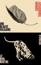 Une beauté vulgaire suivi par Le bon maitre