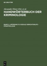 Soziale Gerichtshilfe - Strafvollzug