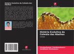 História Evolutiva da Colméia das Abelhas
