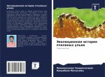 Jewolücionnaq istoriq pchelinyh ul'ew