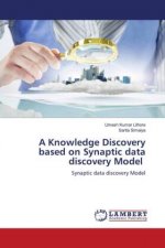A Knowledge Discovery based on Synaptic data discovery Model