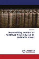 Irreversibility analysis of nanofluid flow induced by peristaltic waves