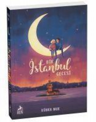 Bir Istanbul Gecesi