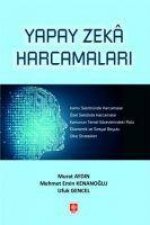 Yapay Zeka Harcamalari