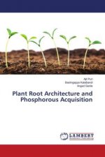 Plant Root Architecture and Phosphorous Acquisition