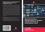 Aprimoramento e segmentaç?o de imagem usando técnicas de computaç?o suave