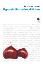 grande libro dei modi di dire