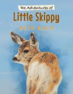 Adventures of Little Skippy